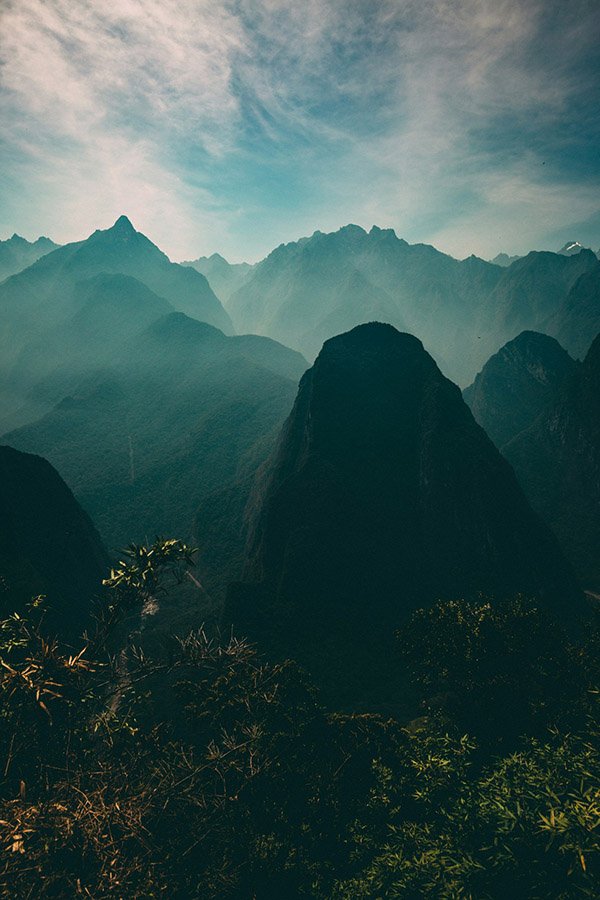 Cloud forest at Machu Picchu