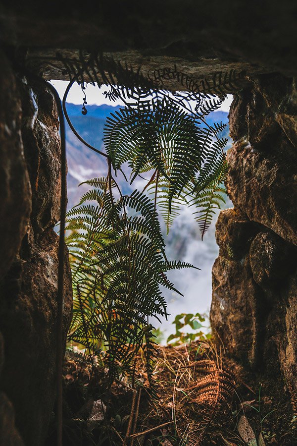 Fern at Machu Picchu